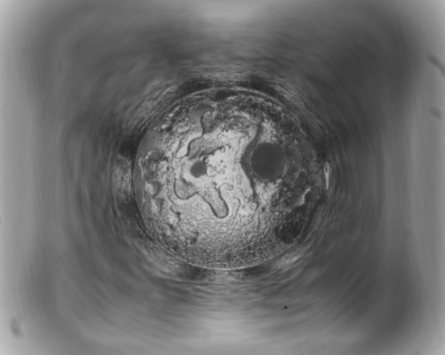 X0000100221251200805301340