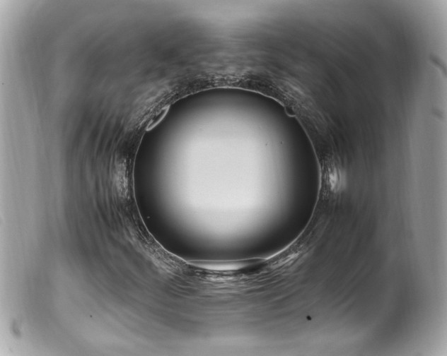 X0000100221252200805301340