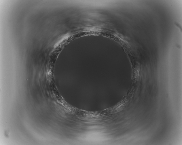 X0000100221254200805301339