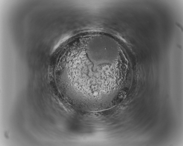 X0000100221255200805301339