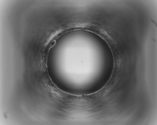 X0000100221256200805301339