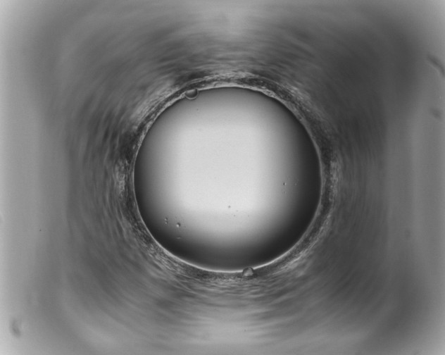 X0000100221257200805301339