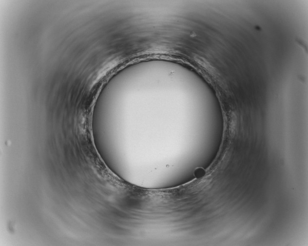 X0000100221258200805301339