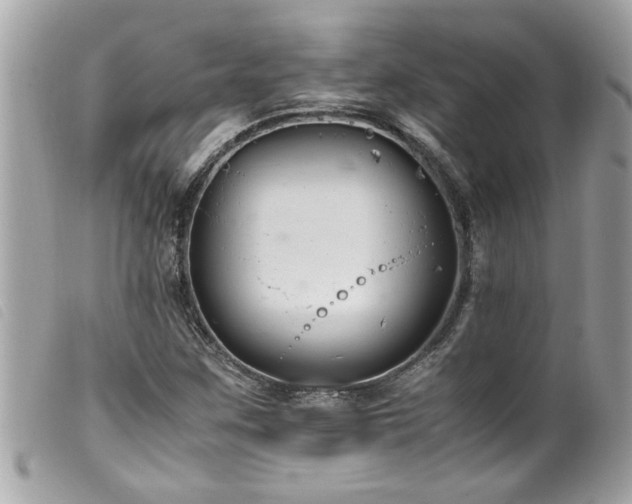 X0000100221259200805301339