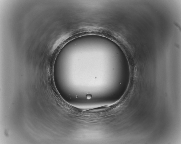 X0000100221261200805301339