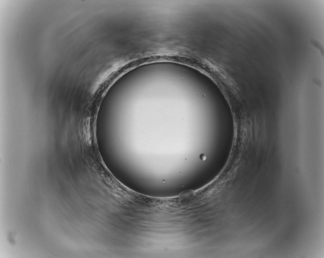X0000100221262200805301339