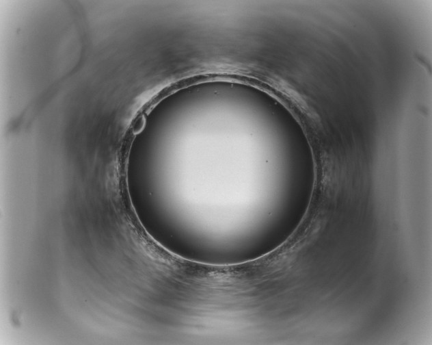 X0000100221264200805301339