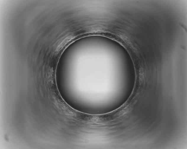 X0000100221265200805301339
