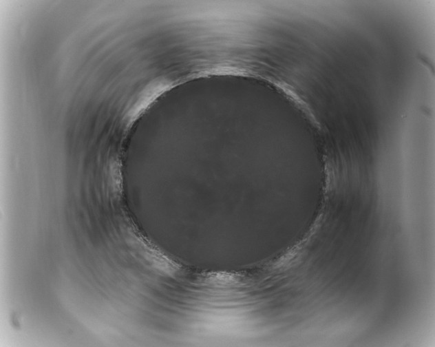 X0000100221266200805301339