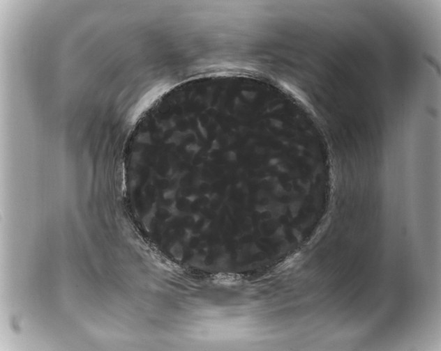 X0000100221267200805301339