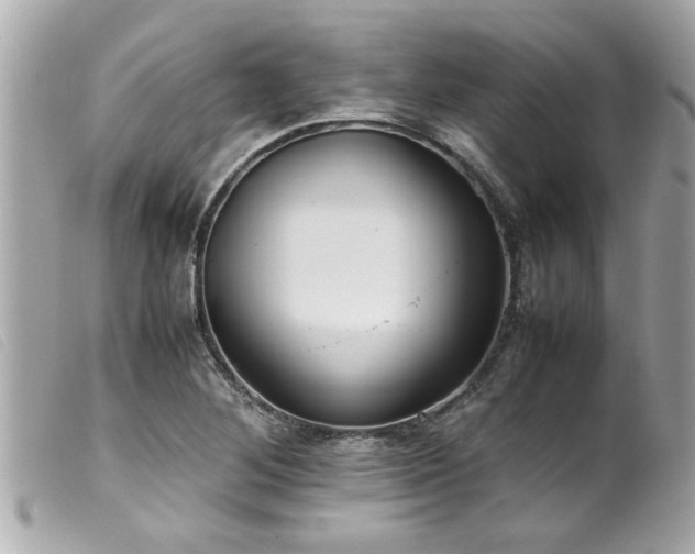 X0000100221268200805301339