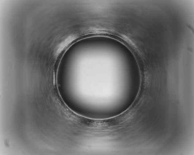 X0000100221269200805301339