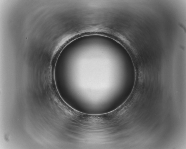 X0000100221270200805301339