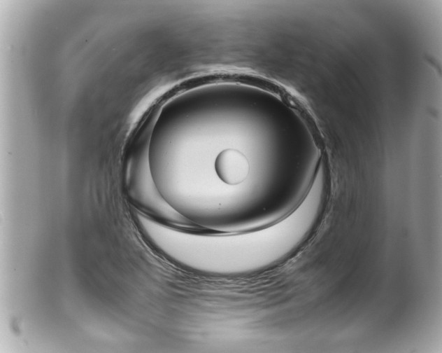 X0000100221271200805301339
