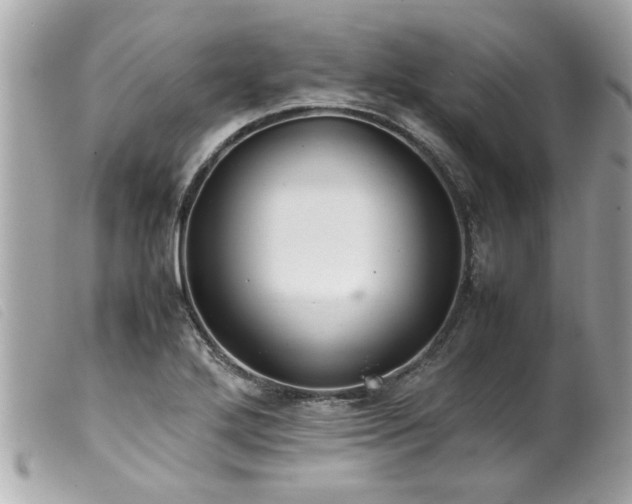 X0000100221272200805301339