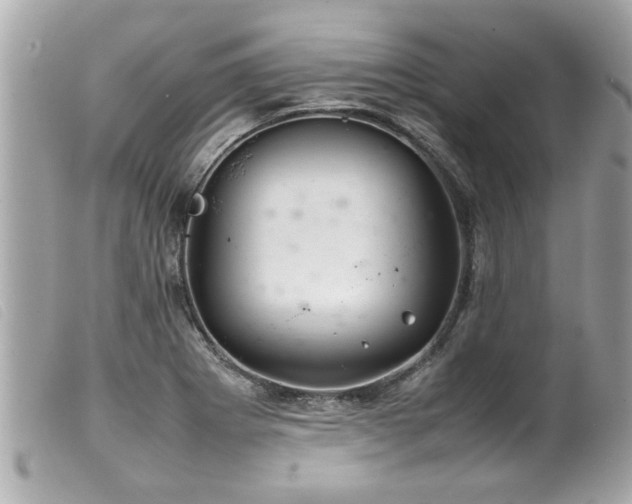 X0000100221273200805301339