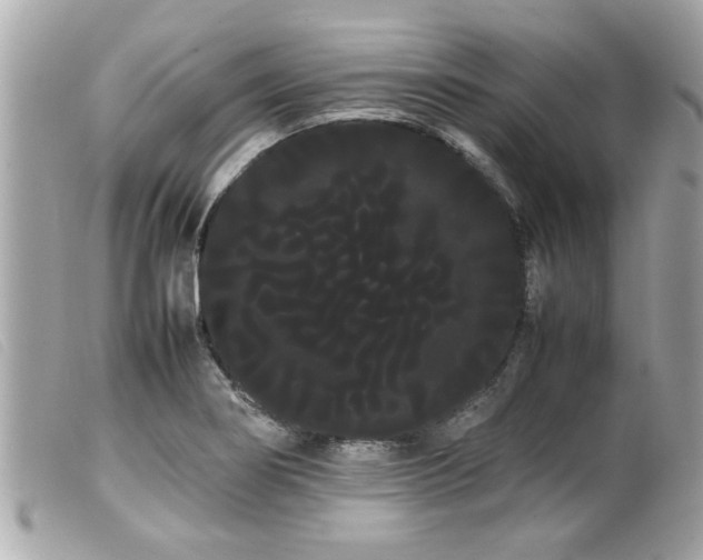 X0000100221274200805301339