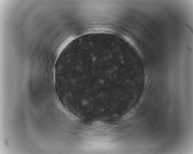 X0000100221275200805301339