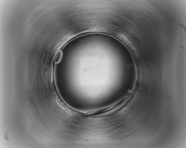 X0000100221276200805301339