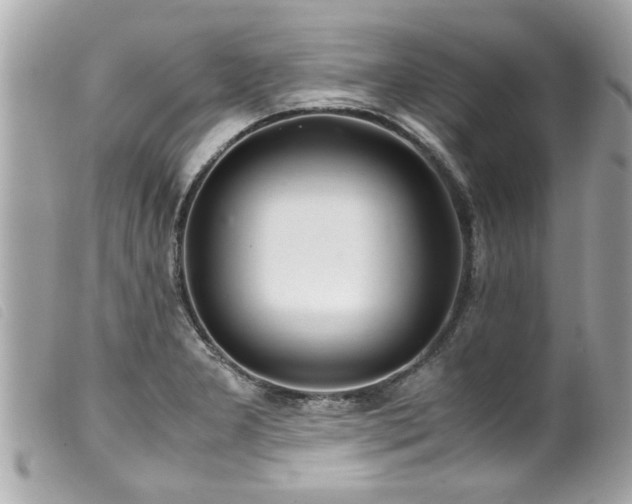 X0000100221277200805301339