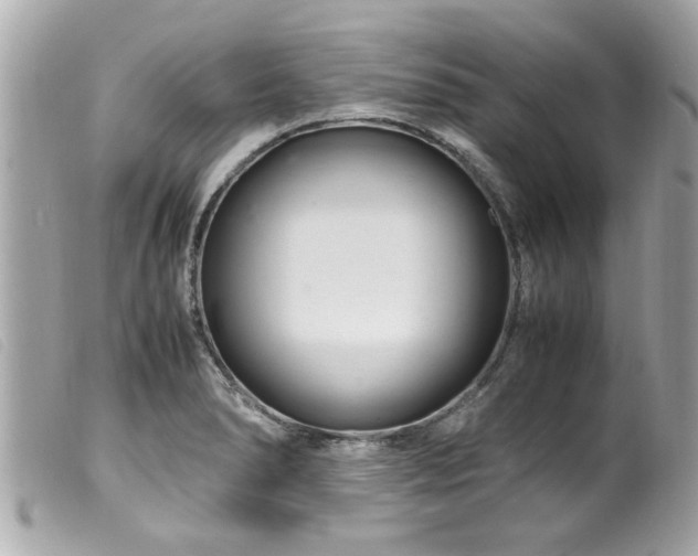 X0000100221278200805301339