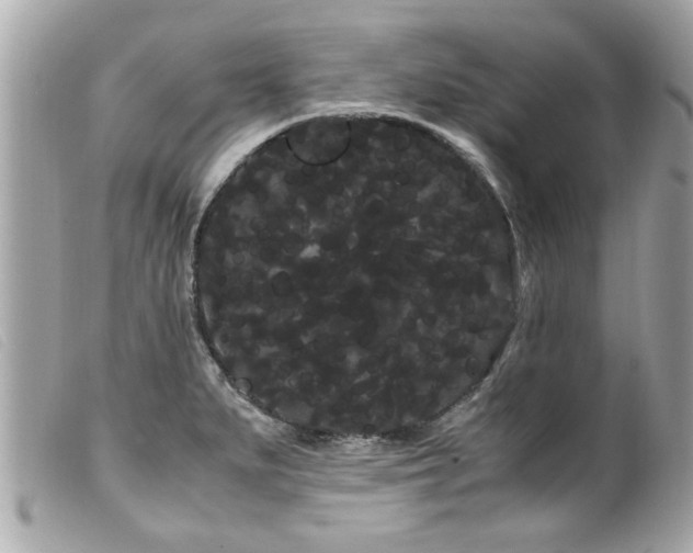 X0000100221279200805301339