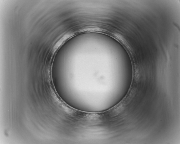 X0000100221282200805301339