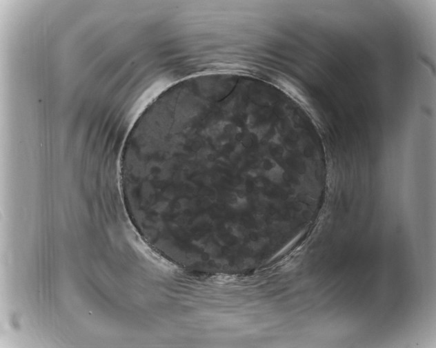X0000100221283200805301339