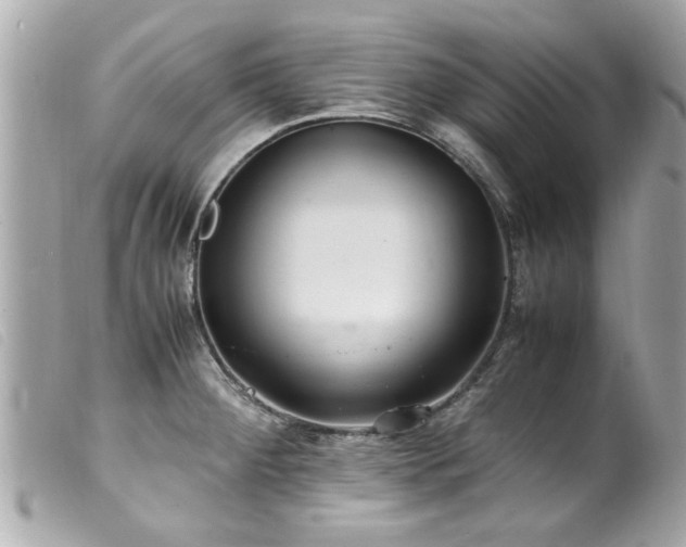 X0000100221284200805301339
