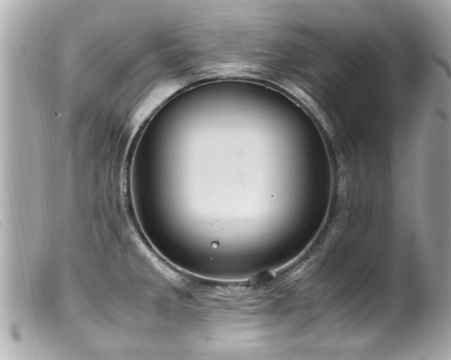 X0000100221285200805301339