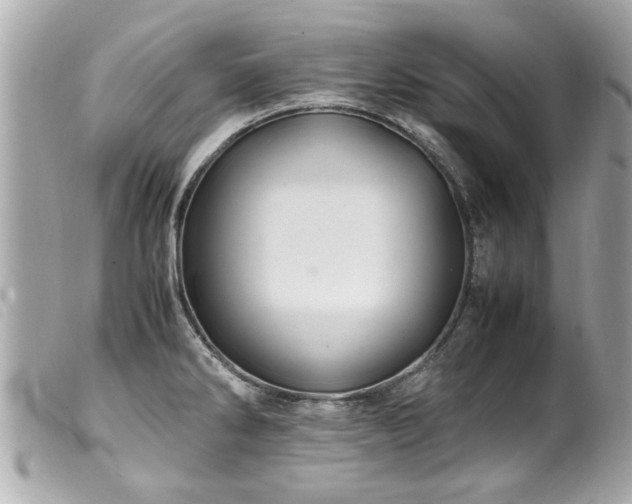 X0000100221286200805301339