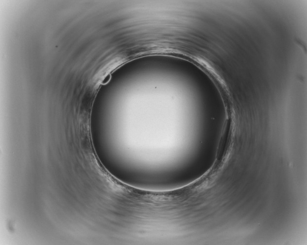 X0000100221289200805301339