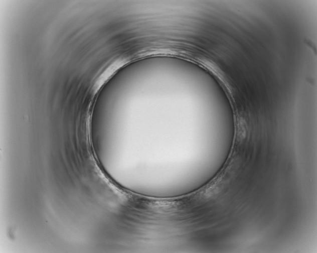 X0000100221290200805301339