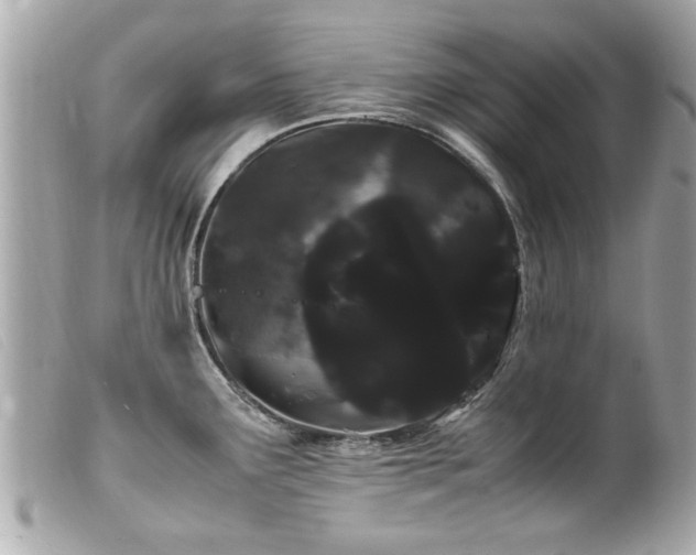 X0000100221291200805301339