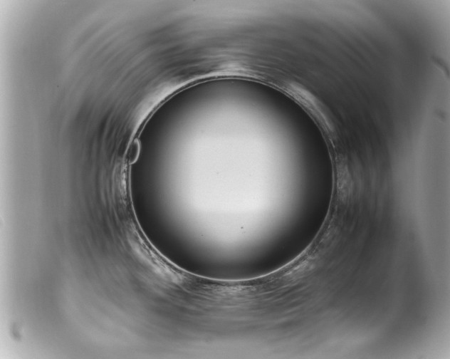 X0000100221292200805301339