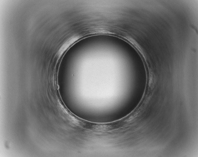 X0000100221293200805301339