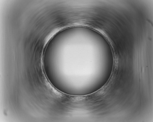 X0000100221294200805301339