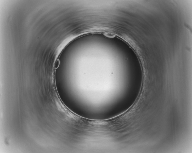 X0000100221296200805301339