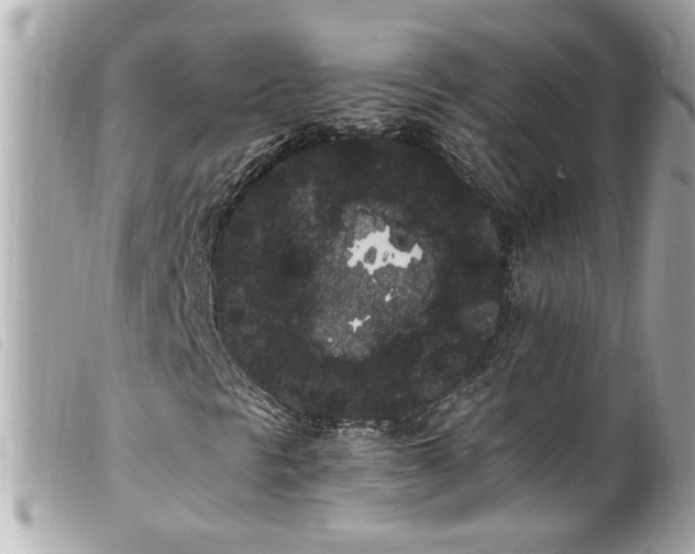 X0000100221297200805301338