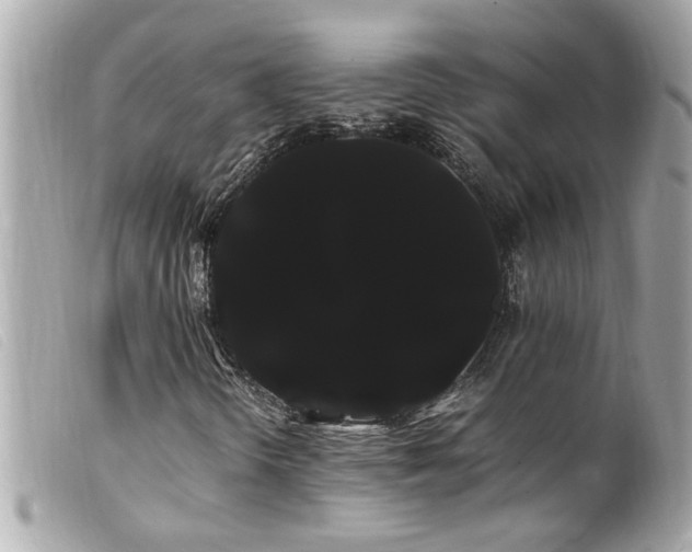 X0000100221298200805301338