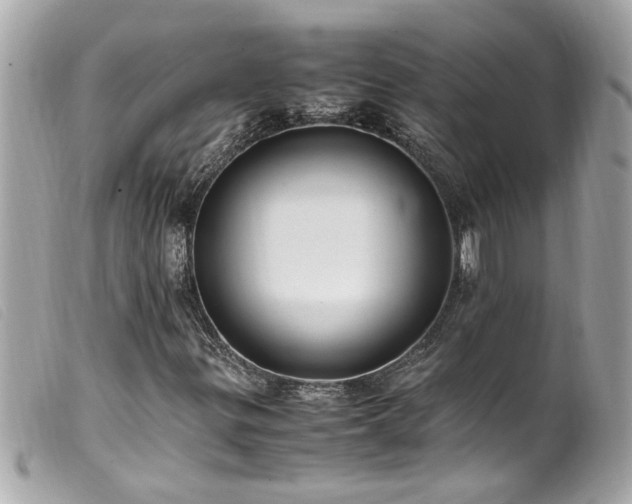 X0000100221299200805301338