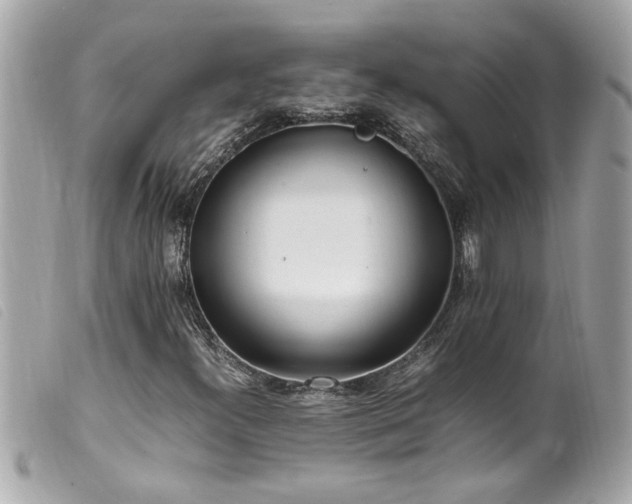 X0000100221300200805301338