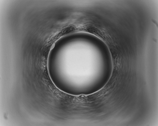 X0000100221301200805301338