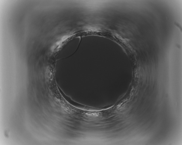 X0000100221303200805301338
