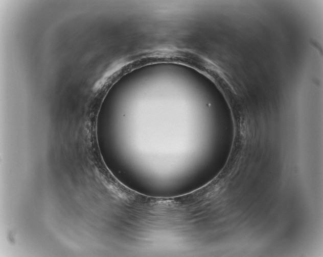 X0000100221304200805301338