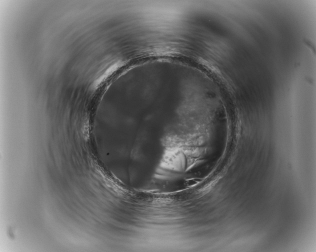 X0000100221306200805301338