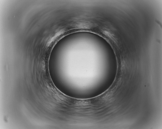X0000100221307200805301338