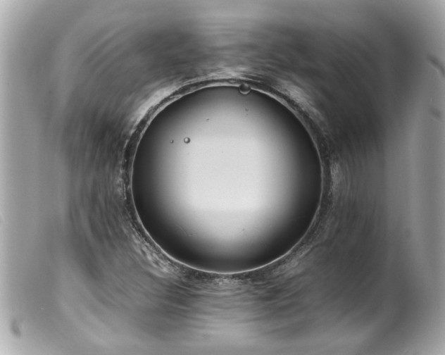 X0000100221308200805301338