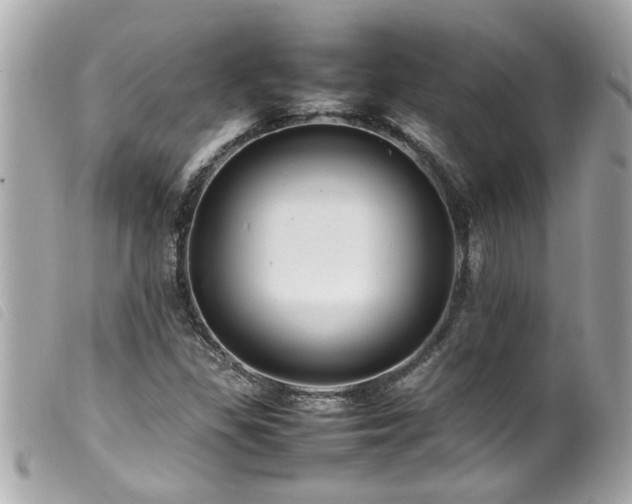 X0000100221309200805301338