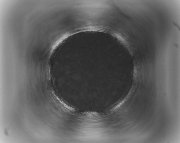 X0000100221310200805301338